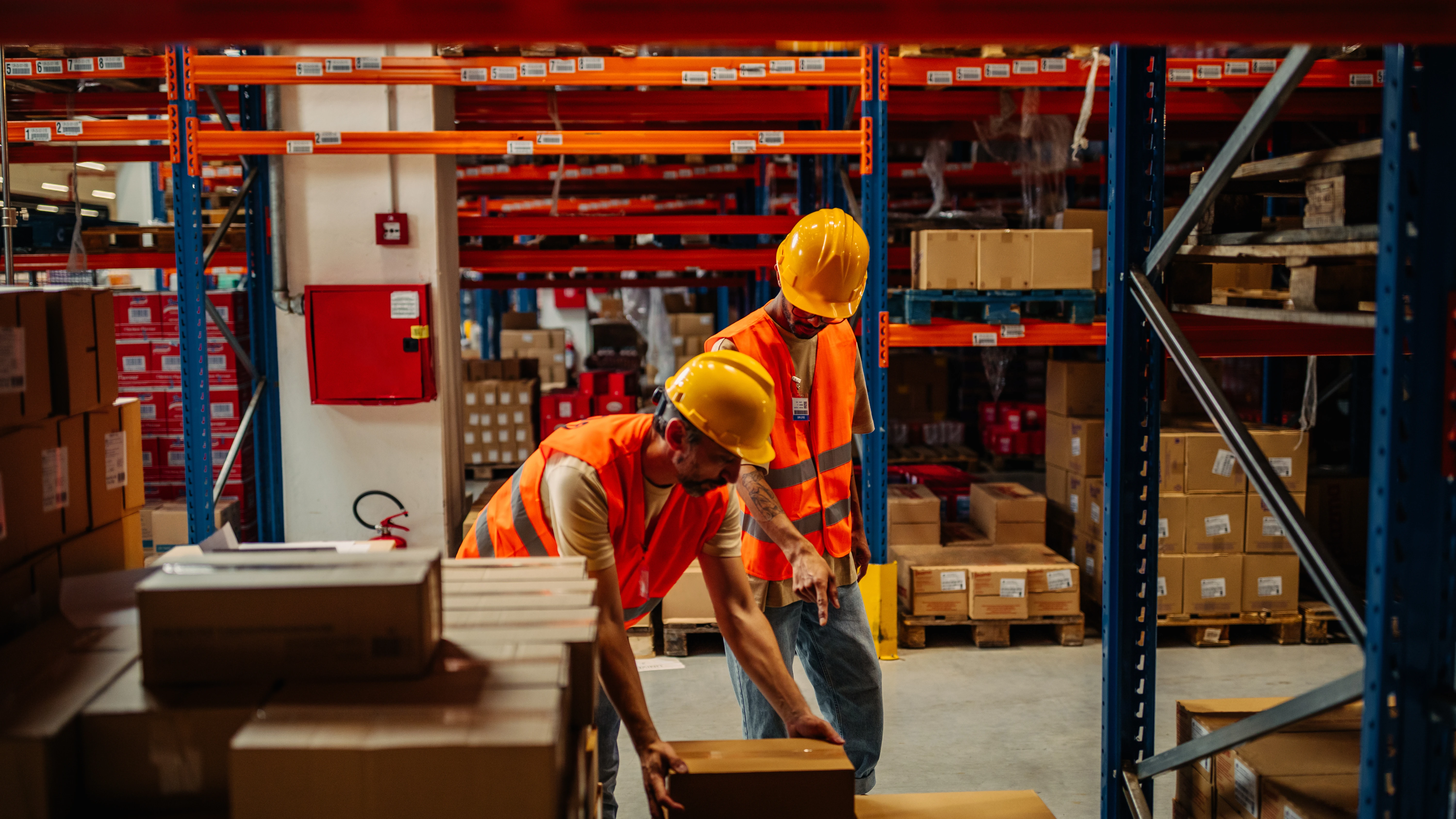 Warehouse Verification